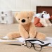 Widdop Softies Плюшена играчка светло кафяво мече в кутия 35см - Hudson