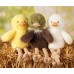 Widdop Softies Плюшена играчка бяло пиле в кутия 30см - Chloe
