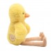 Widdop Softies Плюшена играчка жълто пиле в кутия 30см - Chick
